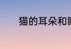 猫的耳朵和眼睛的特点是什么