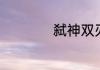 弑神双刃怎么发大招