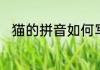猫的拼音如何写呢猫的拼音怎么写