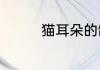 猫耳朵的制作方法与步骤