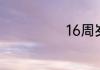 16周岁祝福成语