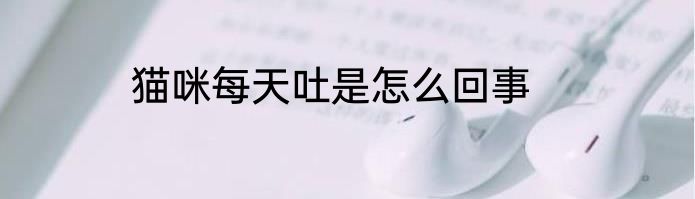 猫咪每天吐是怎么回事
