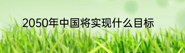 2050年中国将实现什么目标