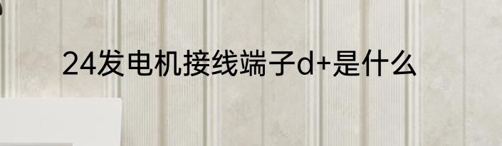24发电机接线端子d+是什么
