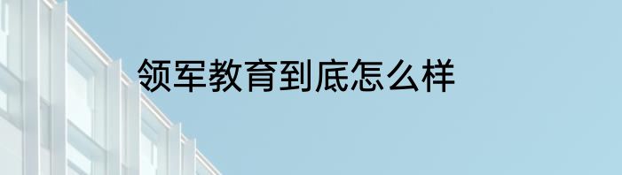领军教育到底怎么样