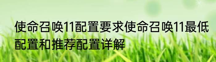 使命召唤11配置要求使命召唤11最低配置和推荐配置详解