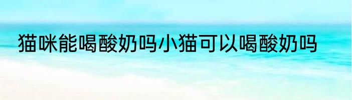 猫咪能喝酸奶吗小猫可以喝酸奶吗
