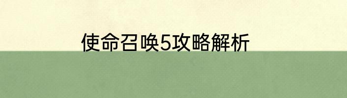使命召唤5攻略解析