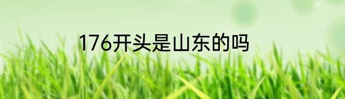 176开头是山东的吗