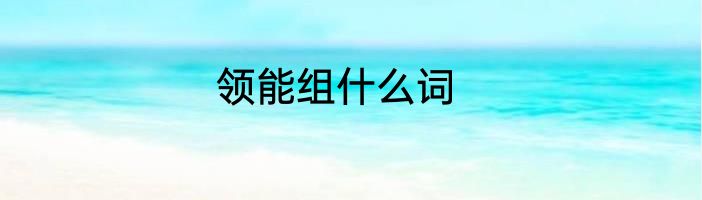 领能组什么词