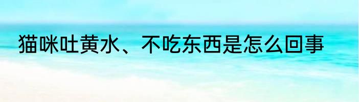 猫咪吐黄水、不吃东西是怎么回事