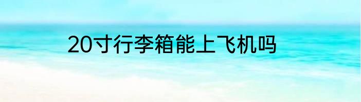 20寸行李箱能上飞机吗