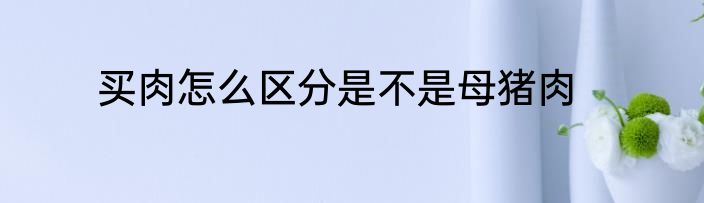 买肉怎么区分是不是母猪肉