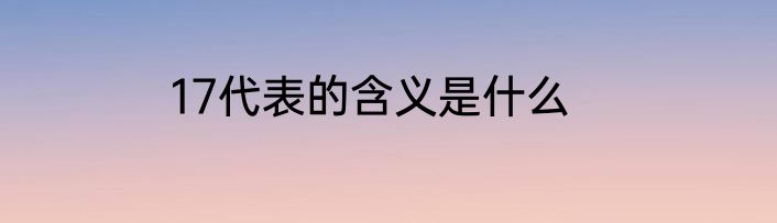 17代表的含义是什么