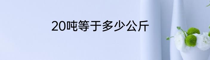 20吨等于多少公斤