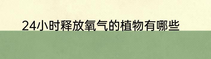 24小时释放氧气的植物有哪些