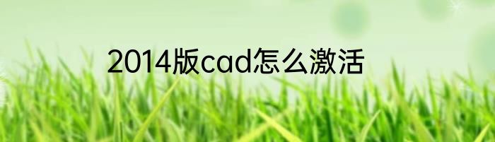 2014版cad怎么激活
