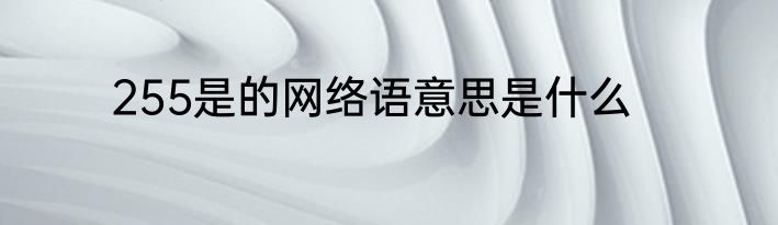 255是的网络语意思是什么