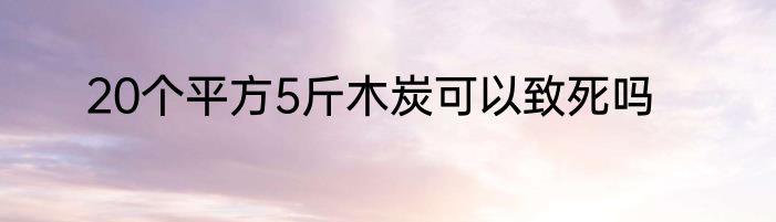 20个平方5斤木炭可以致死吗