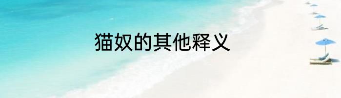 猫奴的其他释义