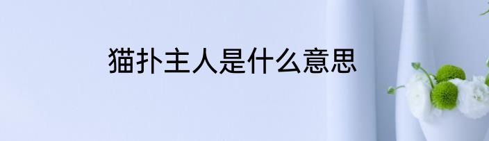 猫扑主人是什么意思