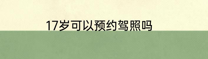 17岁可以预约驾照吗