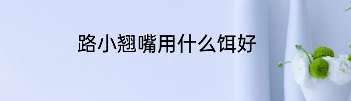 路小翘嘴用什么饵好