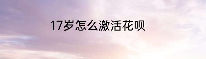 17岁怎么激活花呗