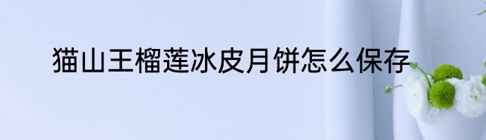 猫山王榴莲冰皮月饼怎么保存