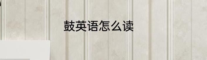 鼓英语怎么读