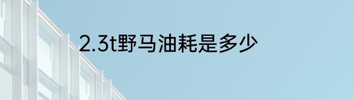 2.3t野马油耗是多少