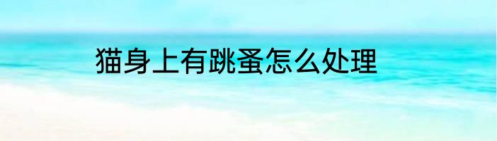 猫身上有跳蚤怎么处理