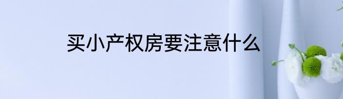 买小产权房要注意什么