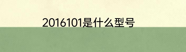 2016101是什么型号