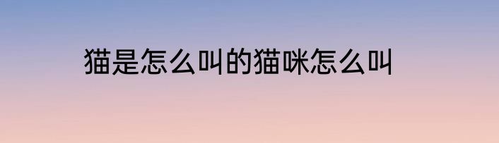 猫是怎么叫的猫咪怎么叫