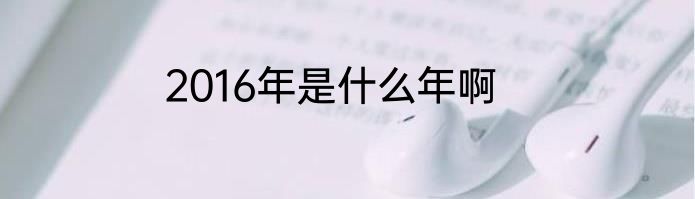 2016年是什么年啊