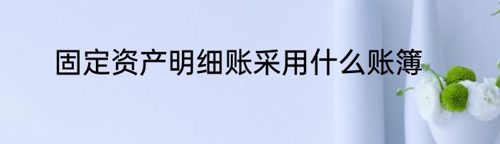固定资产明细账采用什么账簿