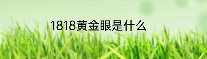 1818黄金眼是什么