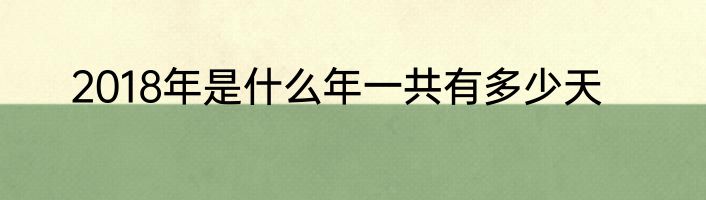 2018年是什么年一共有多少天