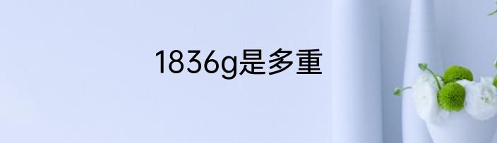 1836g是多重