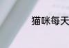 猫咪每天吐是怎么回事