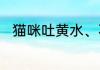 猫咪吐黄水、不吃东西是怎么回事