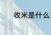 收米是什么意思收米是啥意思