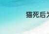 猫死后为什么不能哭