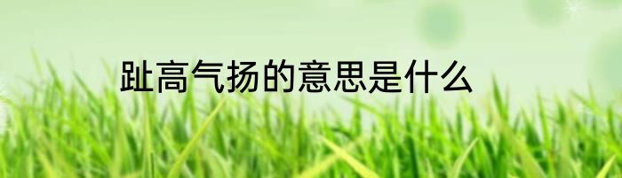 趾高气扬的意思是什么
