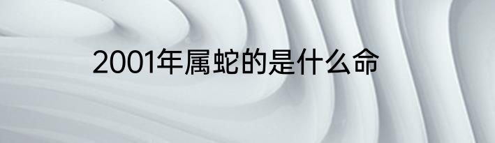2001年属蛇的是什么命