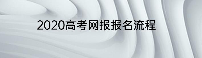2020高考网报报名流程