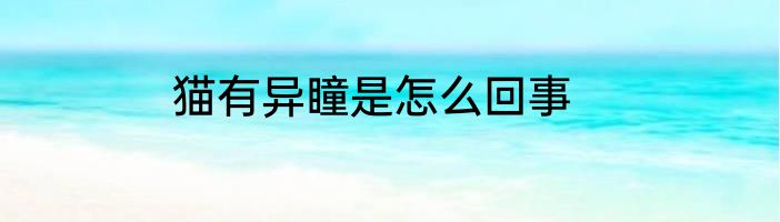 猫有异瞳是怎么回事