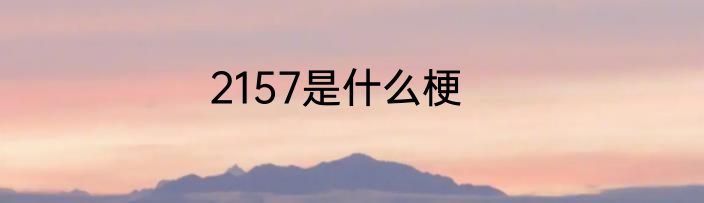 2157是什么梗