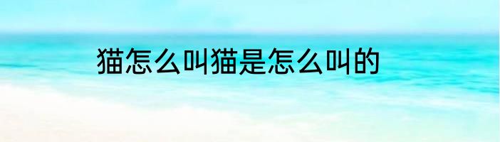 猫怎么叫猫是怎么叫的